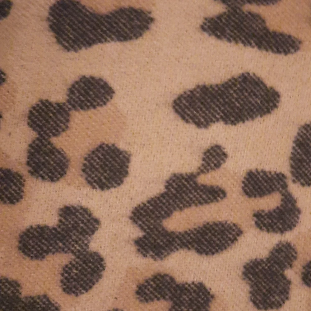 Lane Bryant cozy chic
